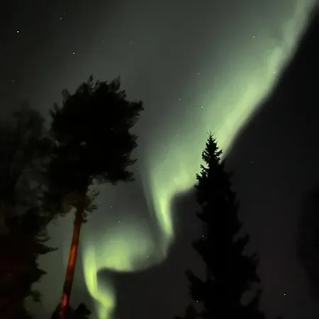 In Lapland